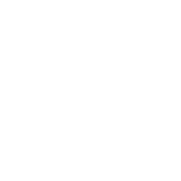 Enabling Commerce