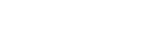 Functional Overview