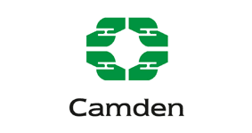 Business Intelligence Consulting Services for Camden