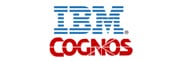 IBM Cognos Partner