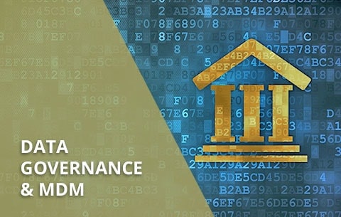Data Governance Consulting