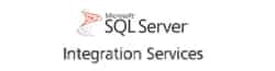 Microsoft SQL Server Integration Services
