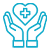 icon - health