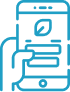web-management